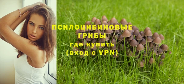каннабис Верхний Тагил