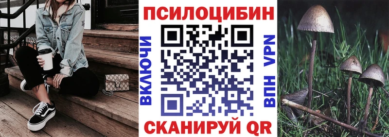 Псилоцибиновые грибы GOLDEN TEACHER  ОМГ ОМГ ONION  Кизляр 